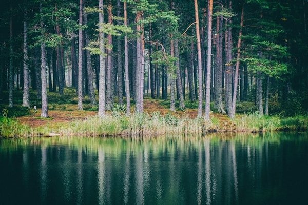 Où trouver une location de vacances en Nouvelle-Zélande avec des randonnées guidées dans les parcs nationaux?